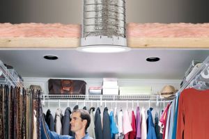 closet skylights